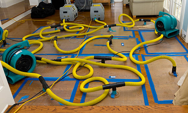 Professional Crawl Space Water Removal technician working in Denver, CO